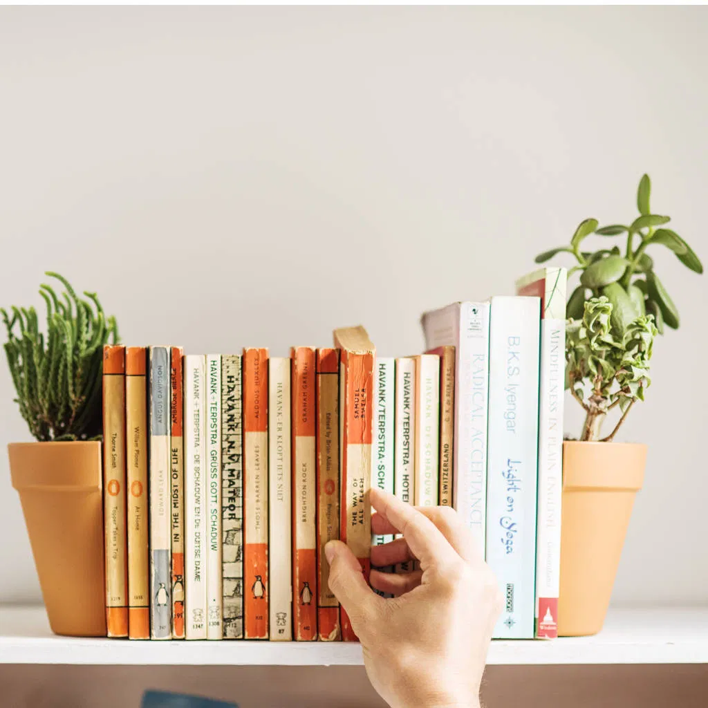 A close-up shot of a white bookshelf featuring two terracotta-coloured, half-moon plant pots acting as bookends. The bookends anchor a neat row of vintage-style books, with one half holding a small succulent-like plant on the left and a lush green plant on the right. A hand reaches into the centre to pull out a book, highlighting the product's function. Ideal unique gift for readers and plant lovers to add botanical style to home decor.