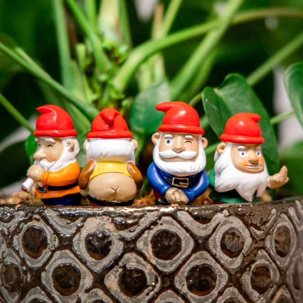 Mini Plant Pot Naughty Gnomes - main product image