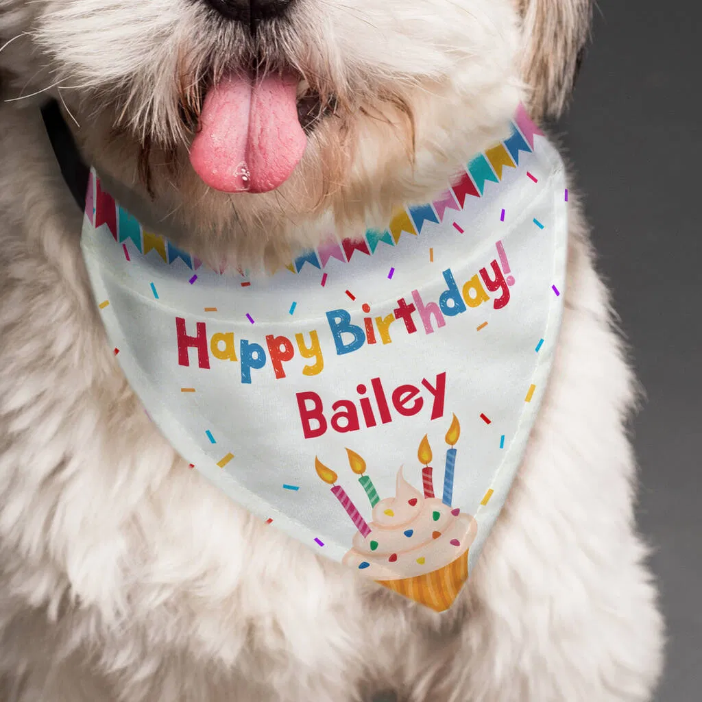Personalised Happy Birthday Dog Bandana - main product image