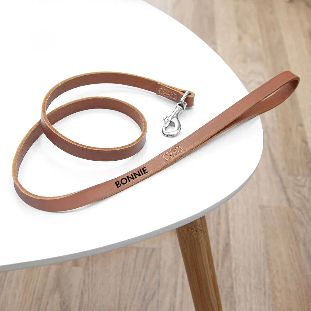Personalised Leather Dog Lead - main product image