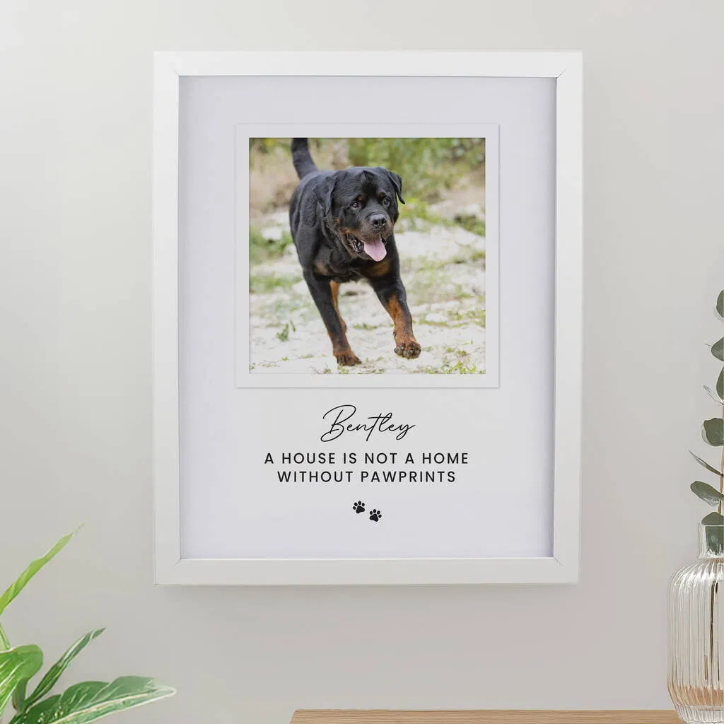 A white framed print displaying a high-quality photo of a black and tan Rottweiler dog running outdoors at the top, and personalized text below. The text reads "Bentley" in script font, followed by the fixed uppercase lines "A HOUSE IS NOT A HOME WITHOUT PAWPRINTS", and two small paw print icons. The frame is displayed on a white wall above a wooden surface.