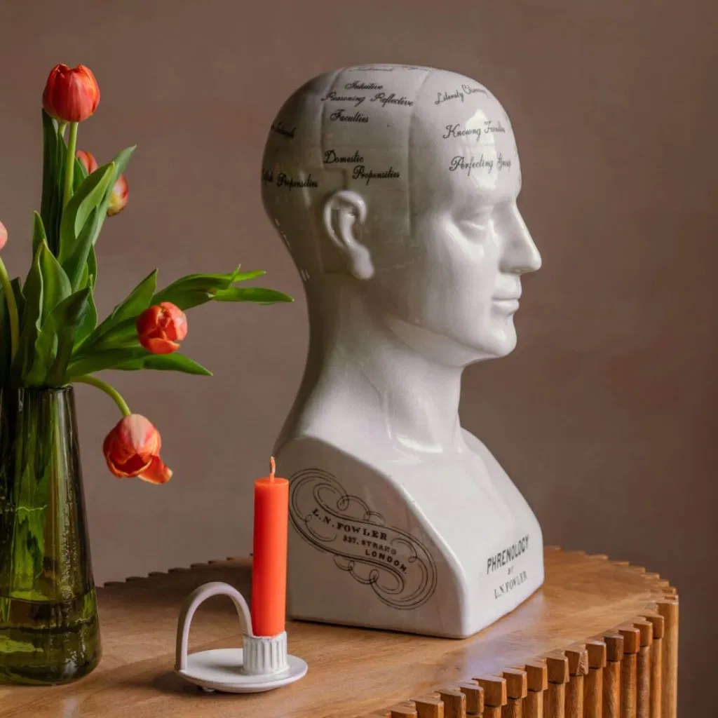 Large Antiqued Phrenology Head - main product image