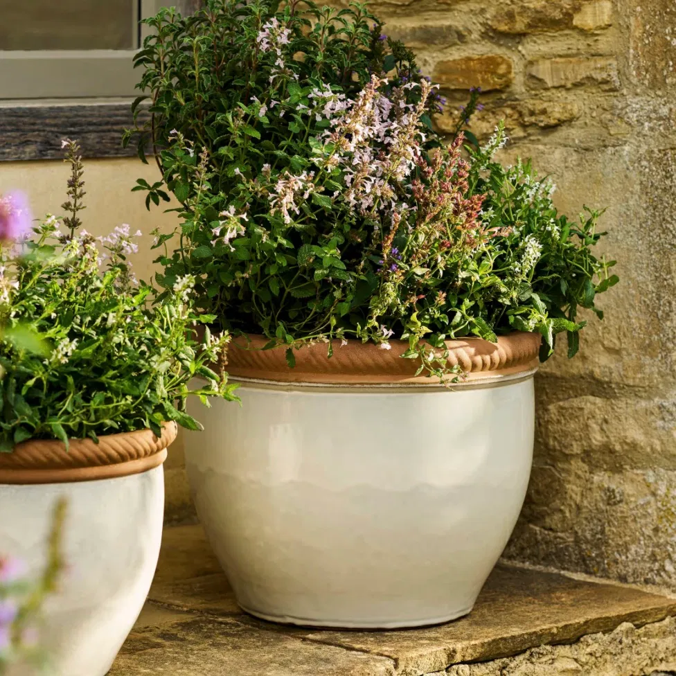 Lily White ceramic outdoor planter with a glossy finish and twisted terracotta rim holding flowering herbs on a stone patio.