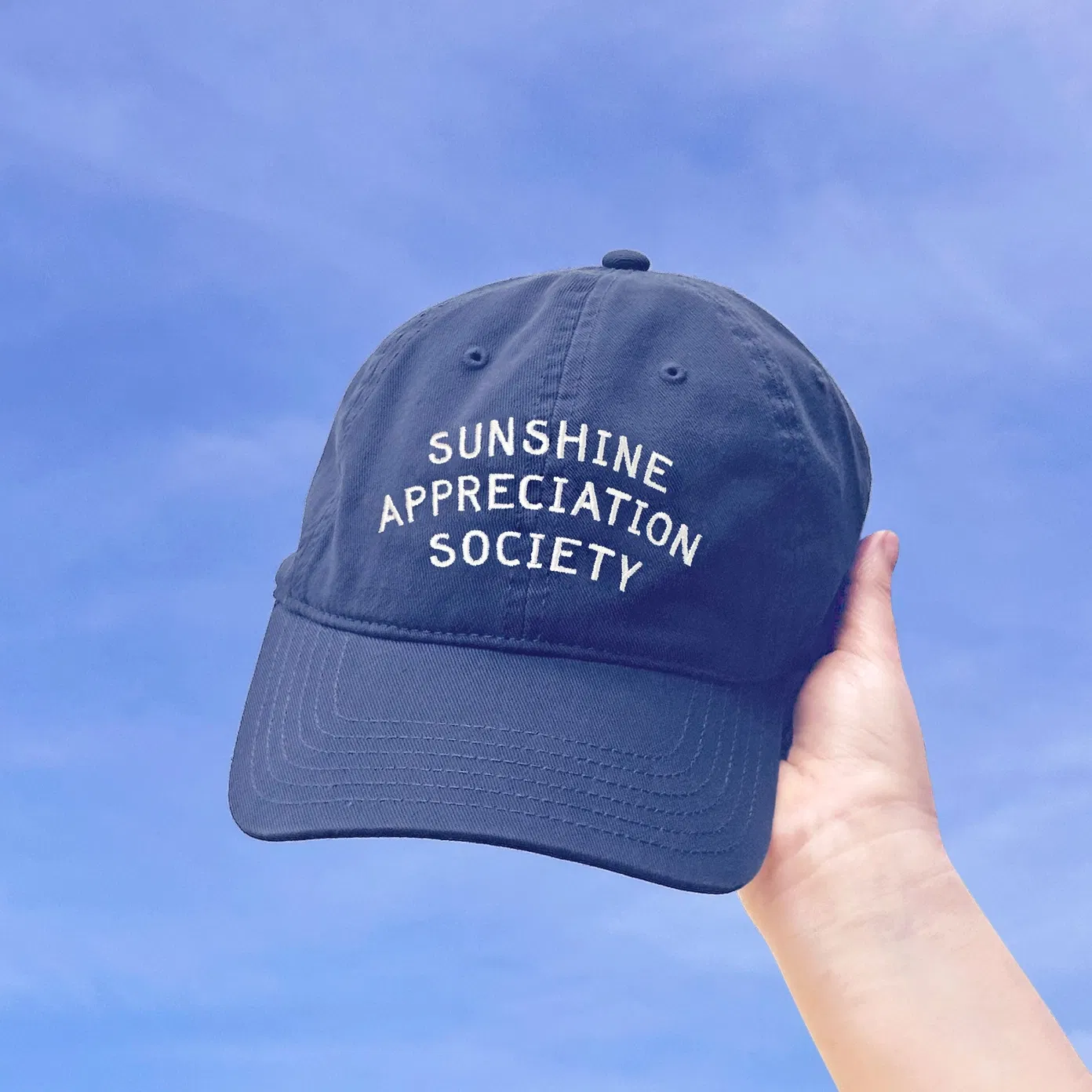 Back view of a person wearing a vintage blue baseball cap with "SUNSHINE APPRECIATION SOCIETY" embroidered in off-white on the back, above an adjustable cotton strap.