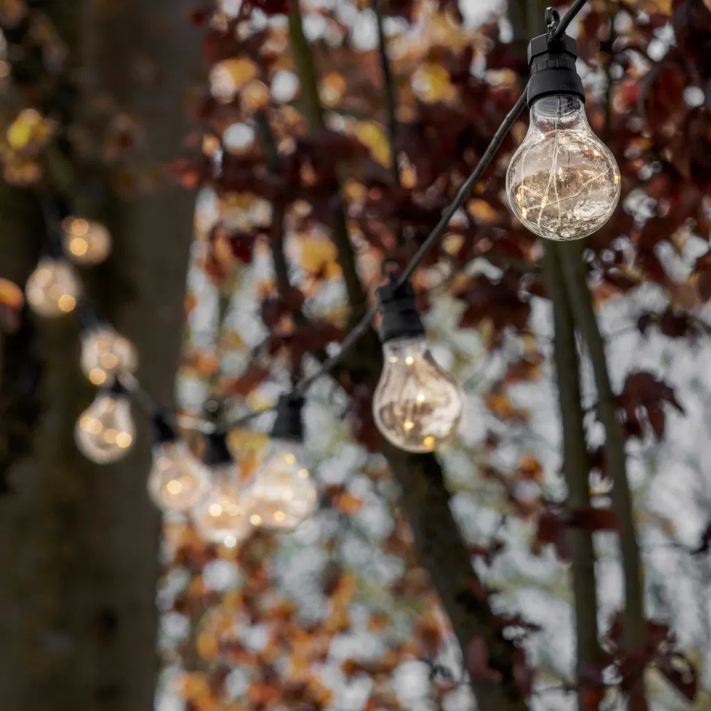 Classic outdoor festoon lights with 20 bulbs on a black cable, draped through autumn trees to create a warm festival glow.