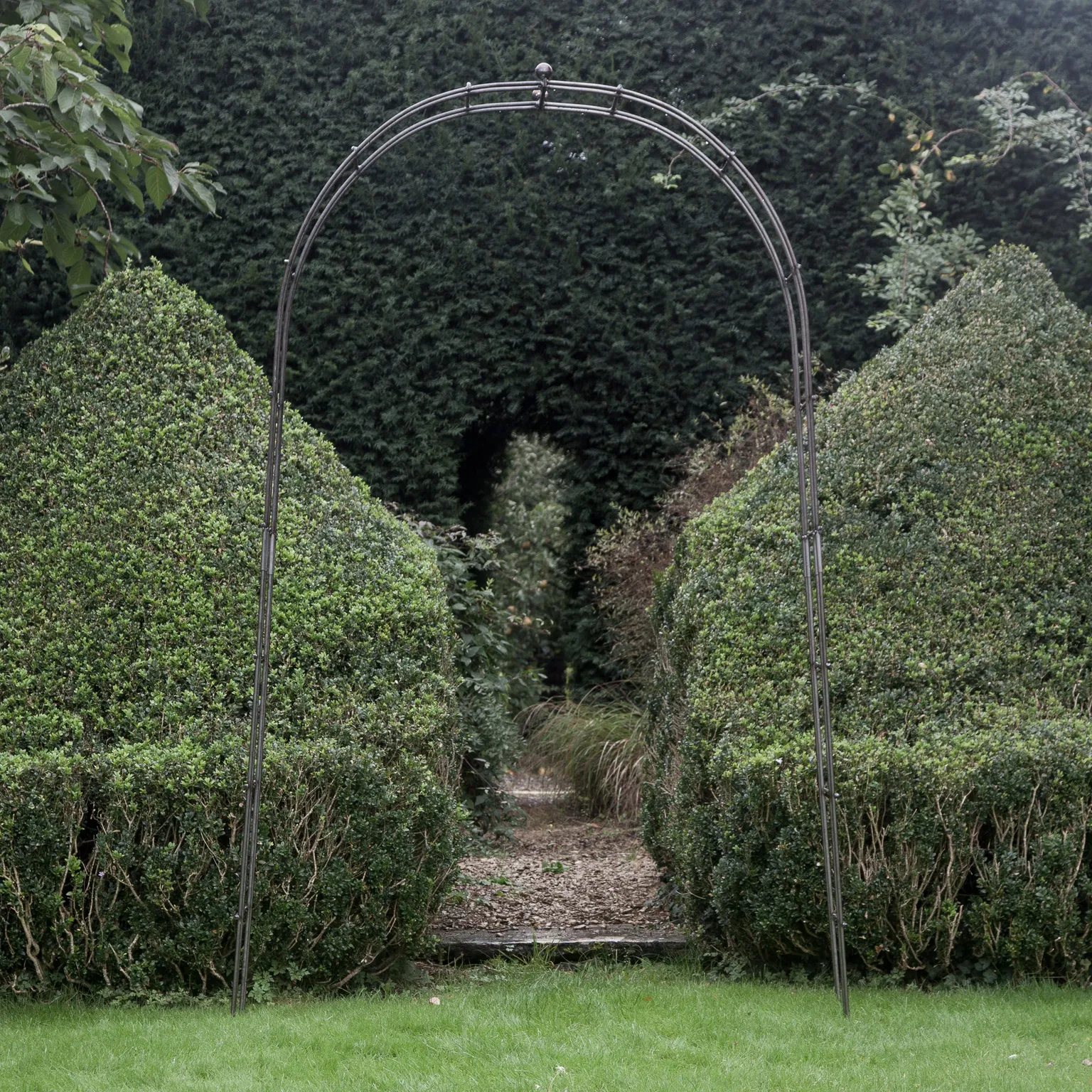 A tall metal rose arch with a curved top and ball finial, positioned between two large green shrubs.